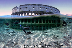 sharks and divers visiting the Colosseum! by Paola Pallocci 